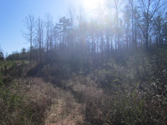 3930 Belmont Hwy, Talmo, GA 30575 photo 9