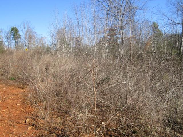 3930 Belmont Hwy, Talmo, GA 30575 photo 10