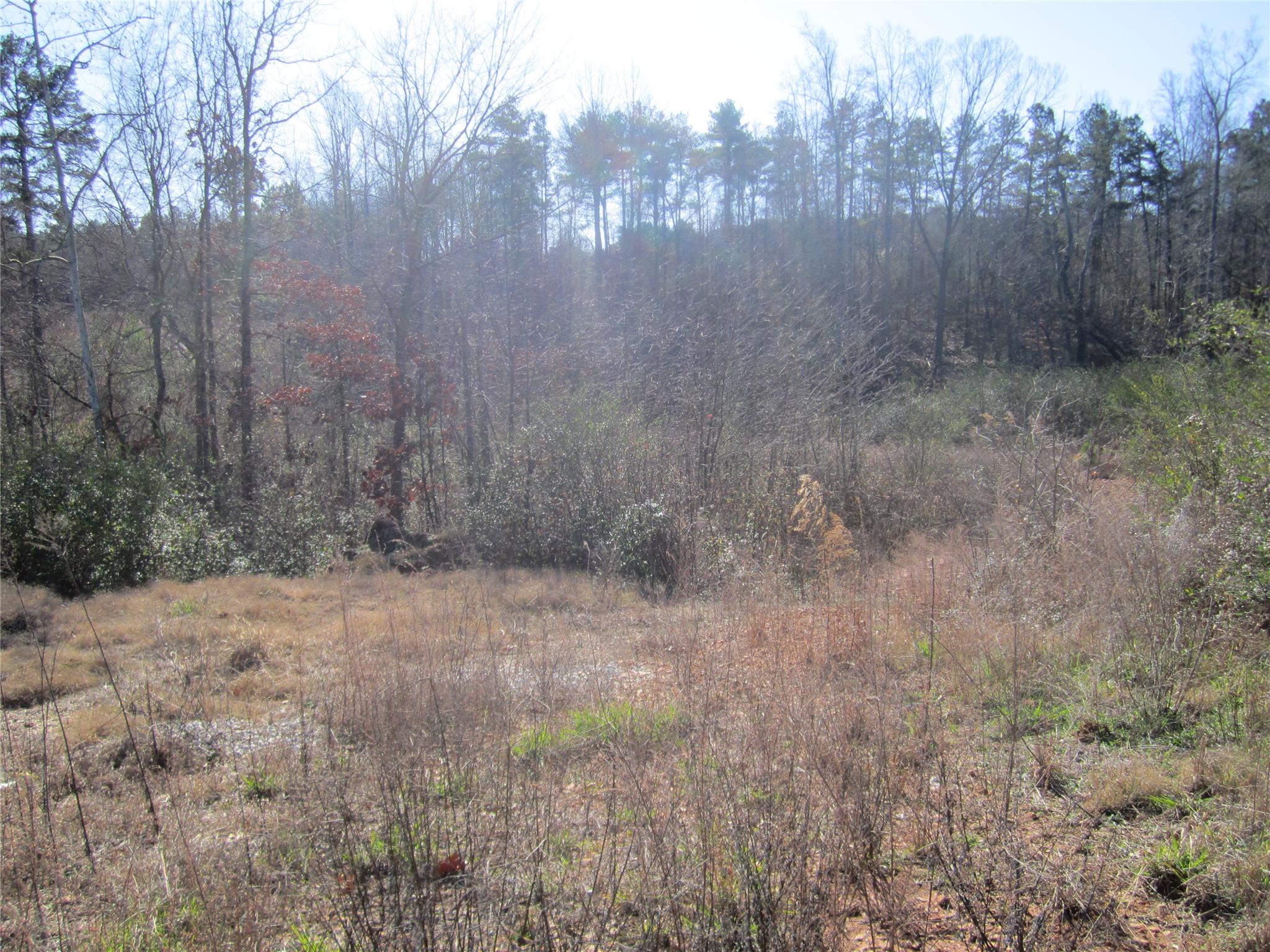 3930 Belmont Hwy, Talmo, GA 30575 photo 1