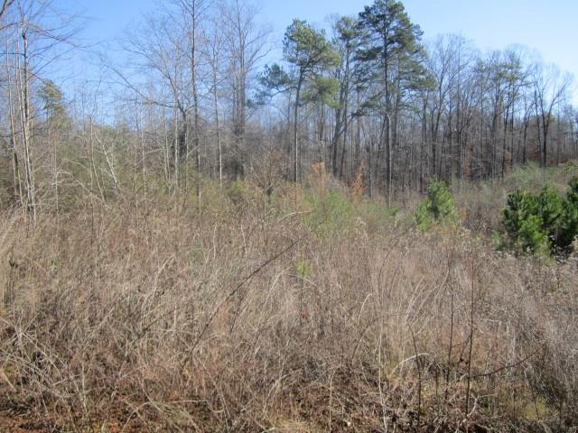 3930 Belmont Hwy, Talmo, GA 30575 photo 6