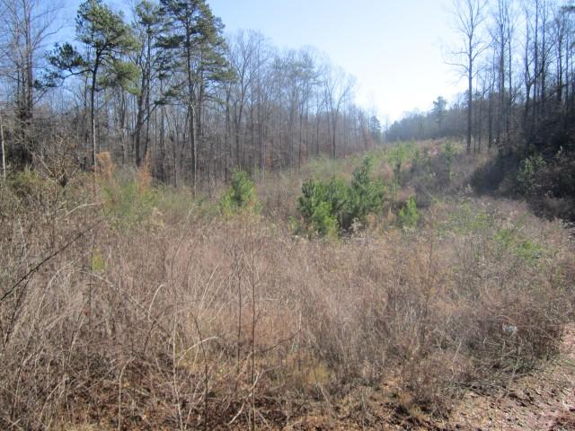 3930 Belmont Hwy, Talmo, GA 30575 photo 5