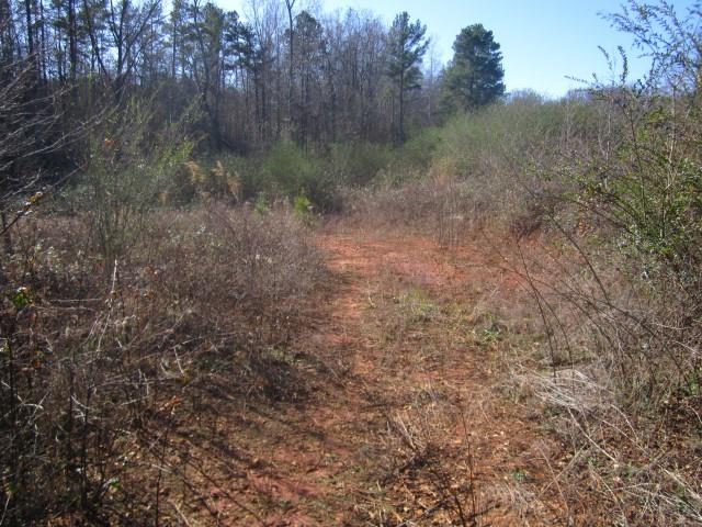 3930 Belmont Hwy, Talmo, GA 30575 photo 4