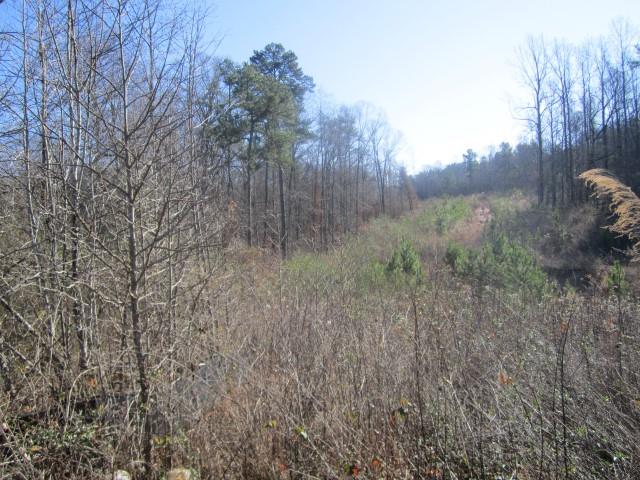 3930 Belmont Hwy, Talmo, GA 30575 photo 11