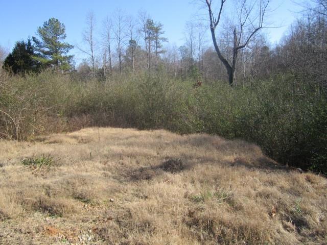 3930 Belmont Hwy, Talmo, GA 30575 photo 12