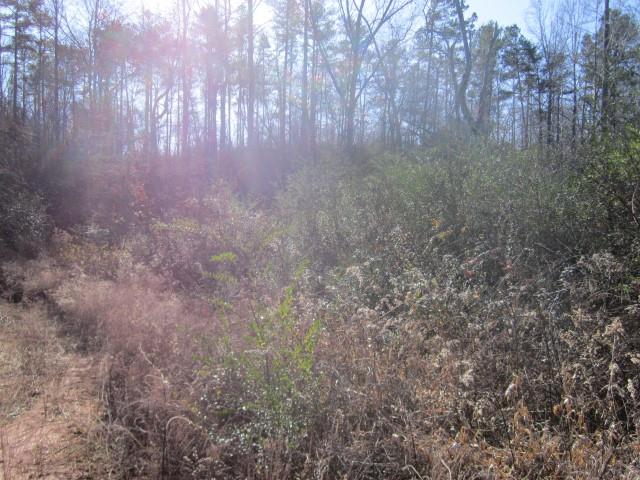 3930 Belmont Hwy, Talmo, GA 30575 photo 7