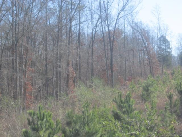 3930 Belmont Hwy, Talmo, GA 30575 photo 8