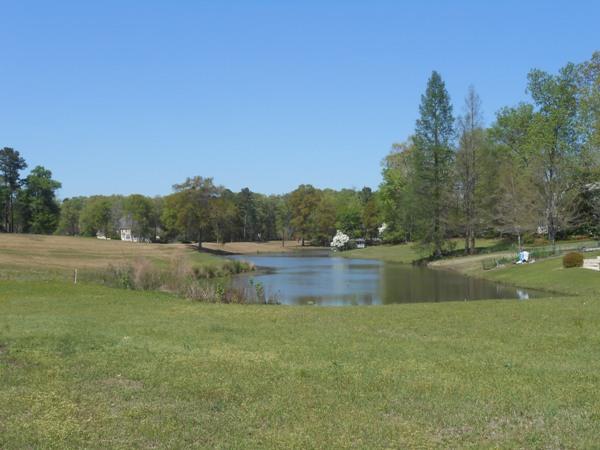 233 Fairways Dr, Warner Robins, GA 31088 photo 22