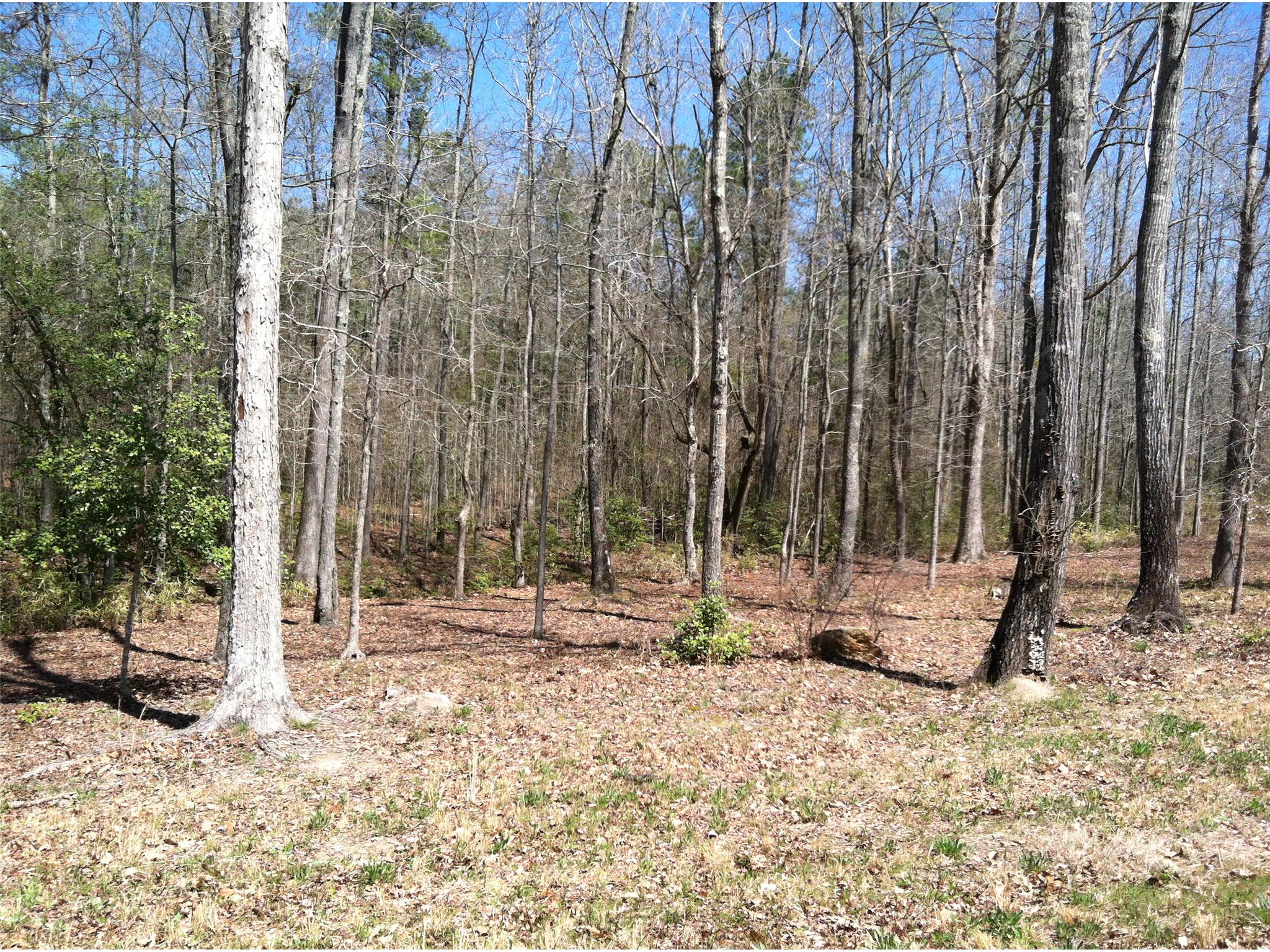 102 Cedar Rock Dr, Lagrange, GA 30241 photo 5