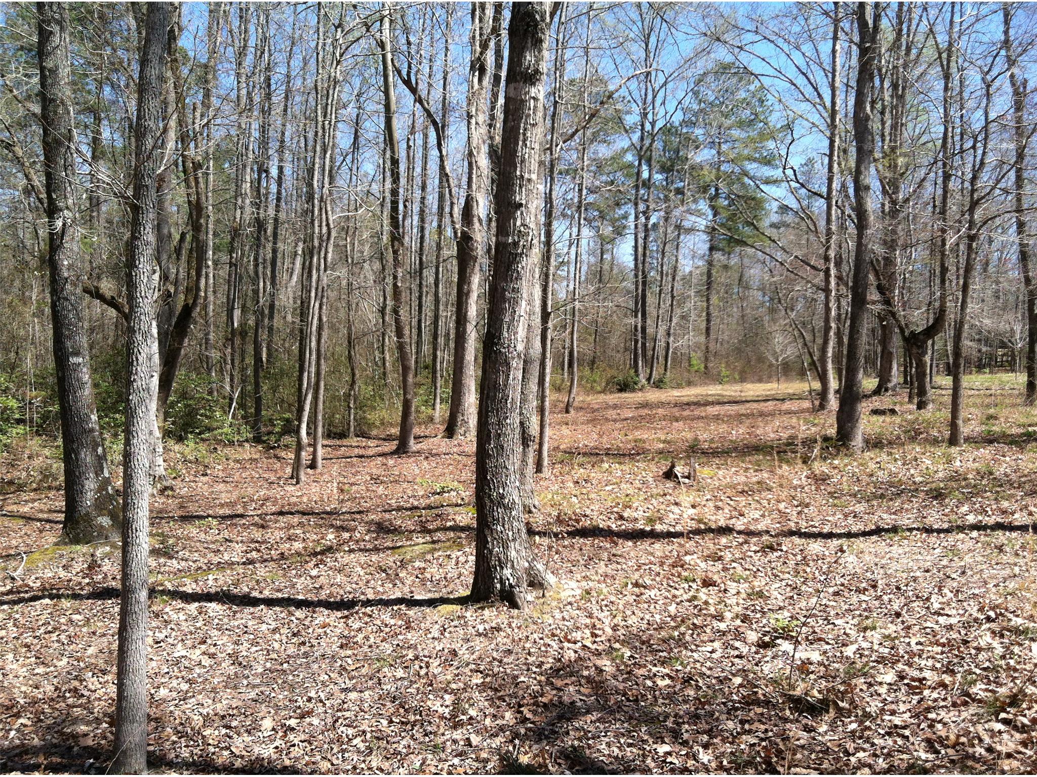 102 Cedar Rock Dr, Lagrange, GA 30241 photo 1