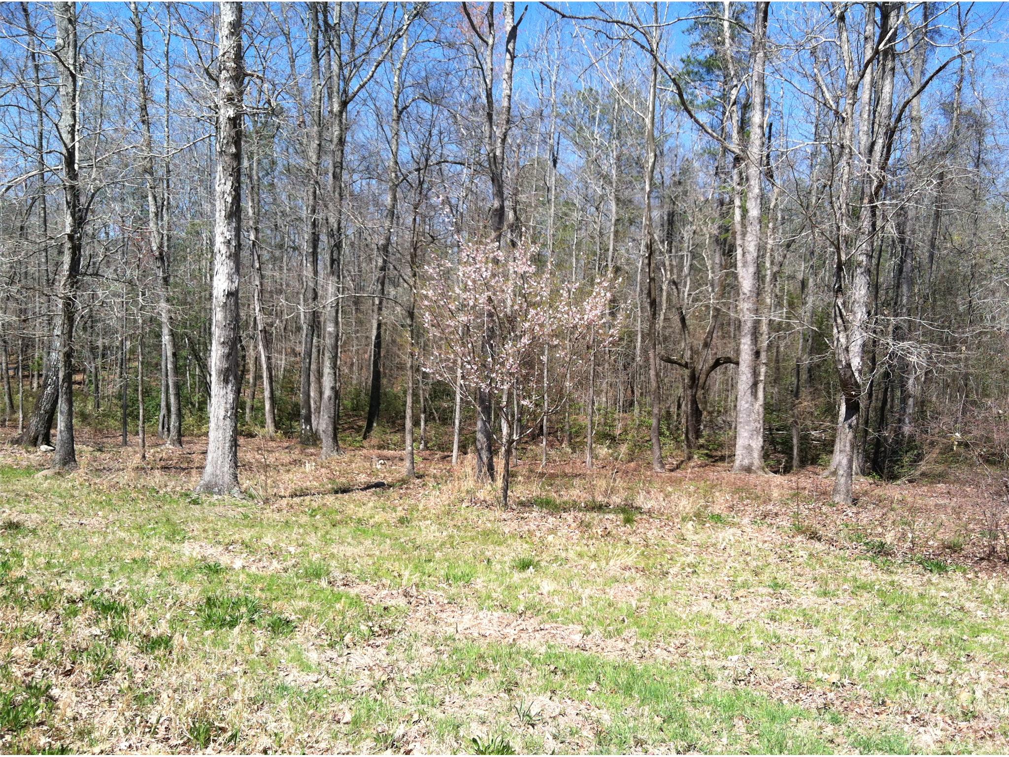102 Cedar Rock Dr, Lagrange, GA 30241 photo 2