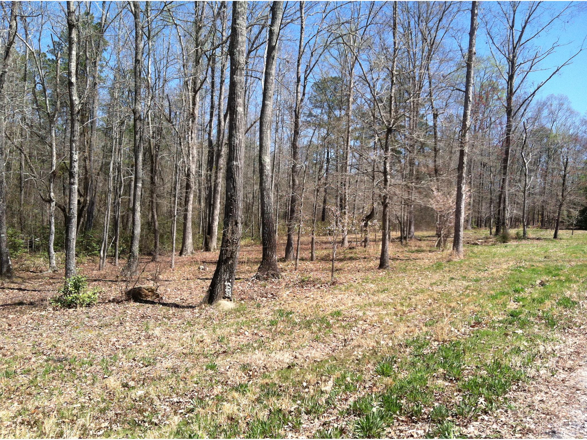 102 Cedar Rock Dr, Lagrange, GA 30241 photo 3