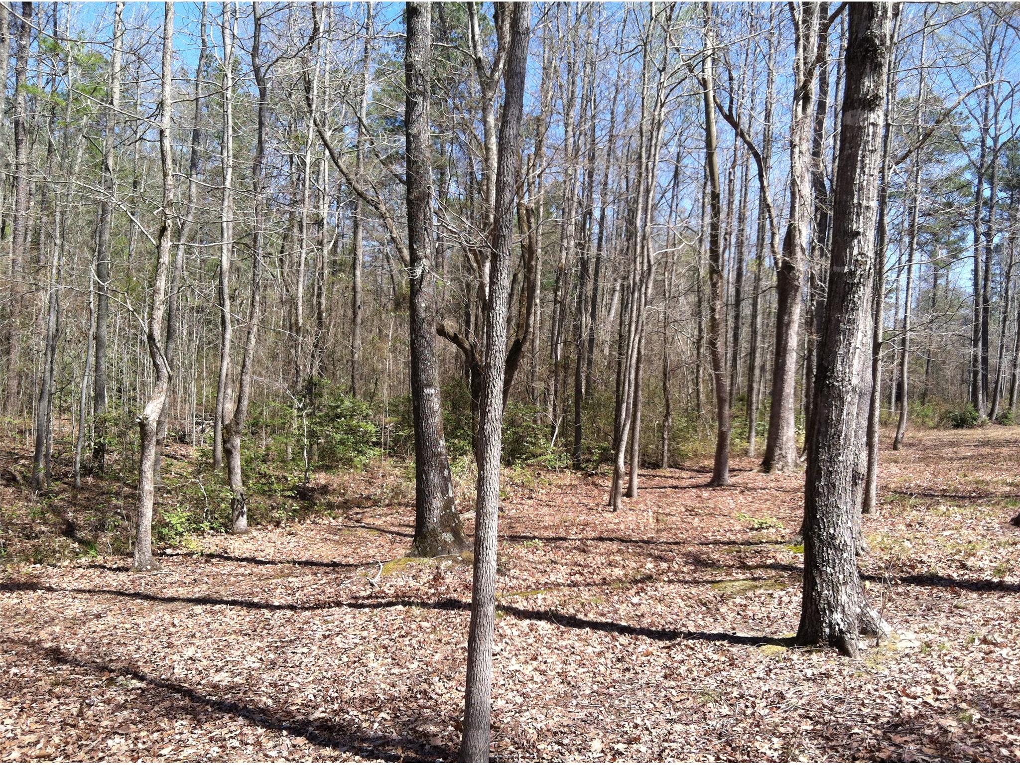 102 Cedar Rock Dr, Lagrange, GA 30241 photo 7