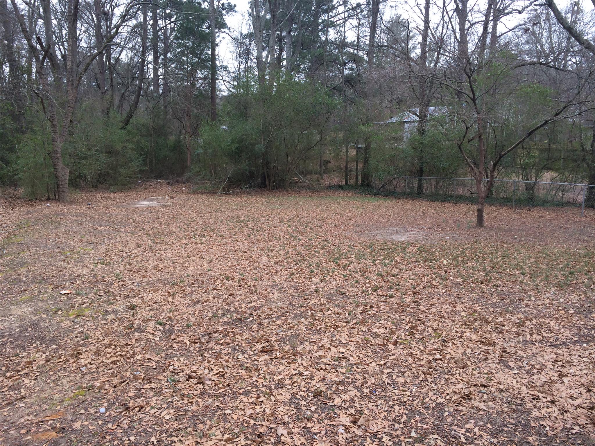 217 King St, Winder, GA 30680 photo 2