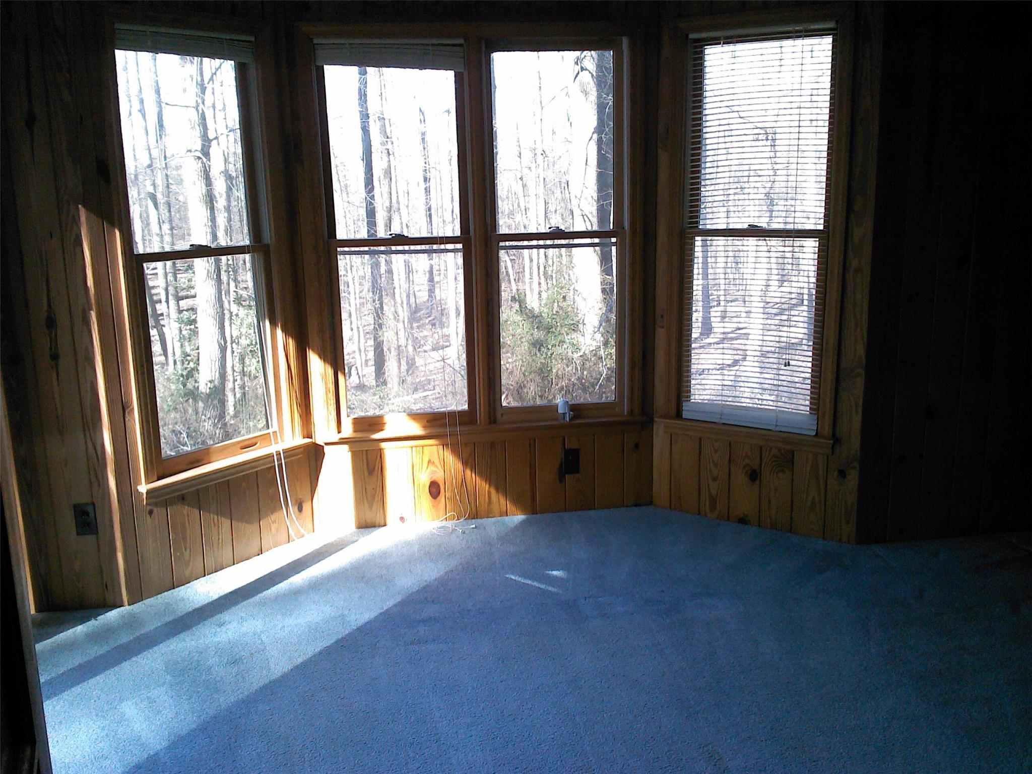 374 Tom Bell Rd, Milner, GA 30257 photo 8