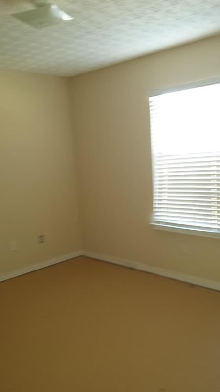 701 Tullamore Way, Hampton, GA 30228 photo 23