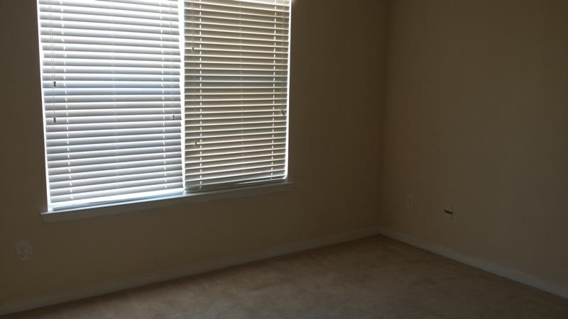 701 Tullamore Way, Hampton, GA 30228 photo 18