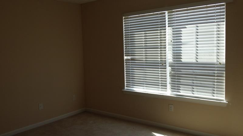 701 Tullamore Way, Hampton, GA 30228 photo 17