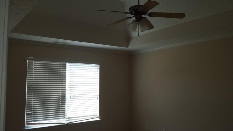 701 Tullamore Way, Hampton, GA 30228 photo 9