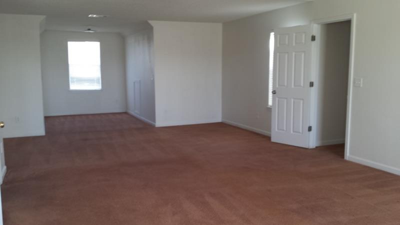 701 Tullamore Way, Hampton, GA 30228 photo 24