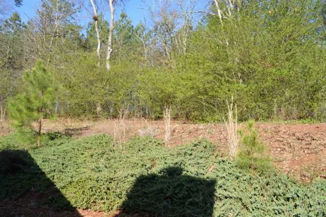 733 Moonlite Trce, Winder, GA 30680 photo 24