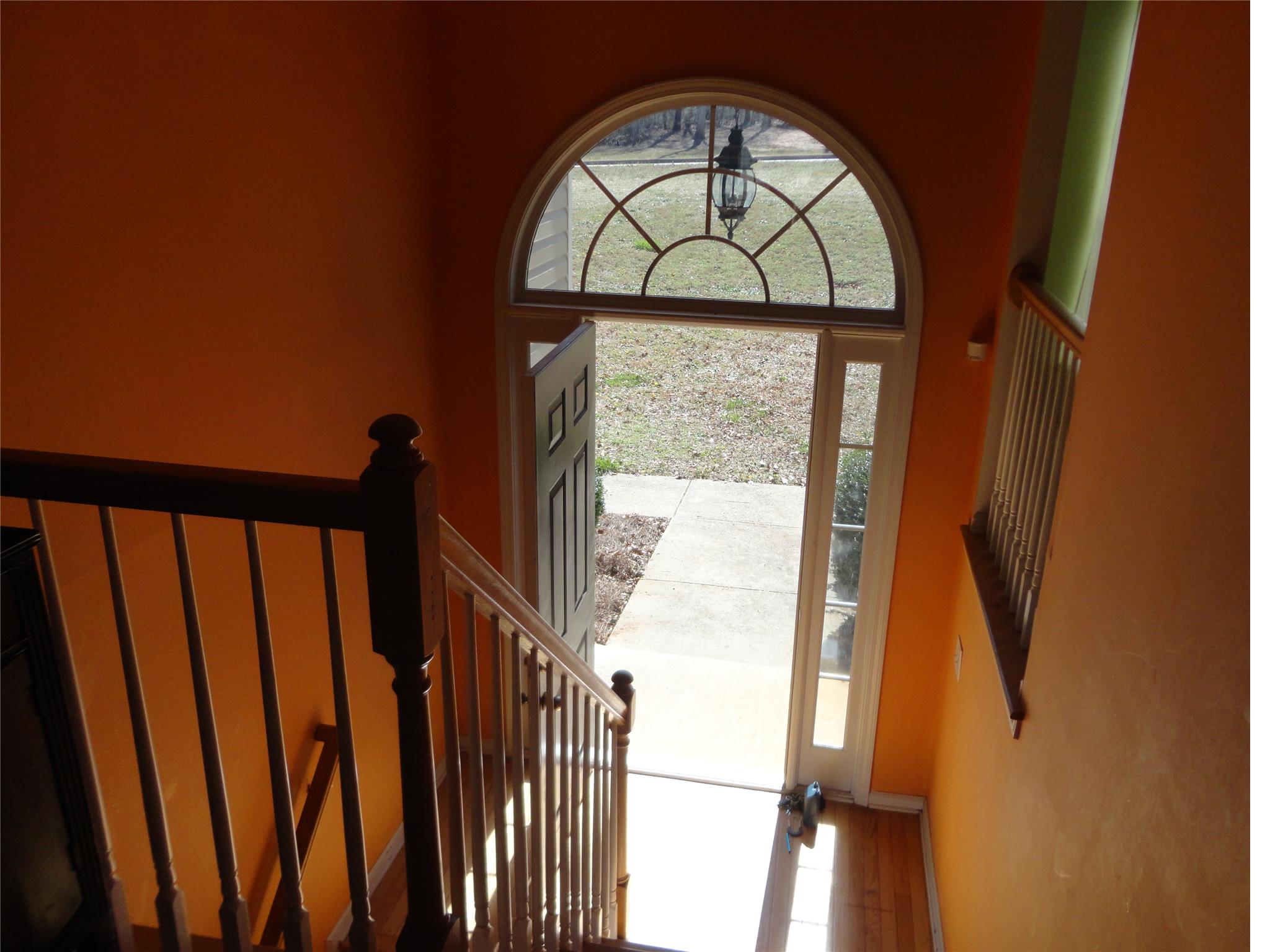 317 Cascade Ct, Hampton, GA 30228 photo 3
