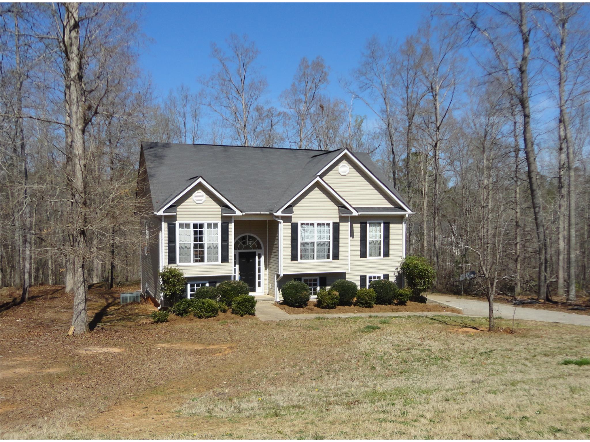 317 Cascade Ct, Hampton, GA 30228 photo 1