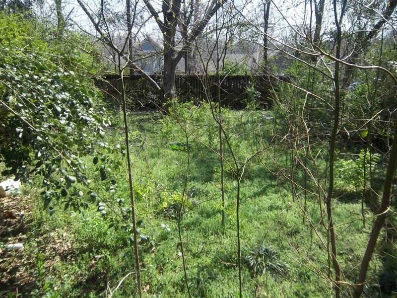 1118 Wright St, Griffin, GA 30223 photo 10