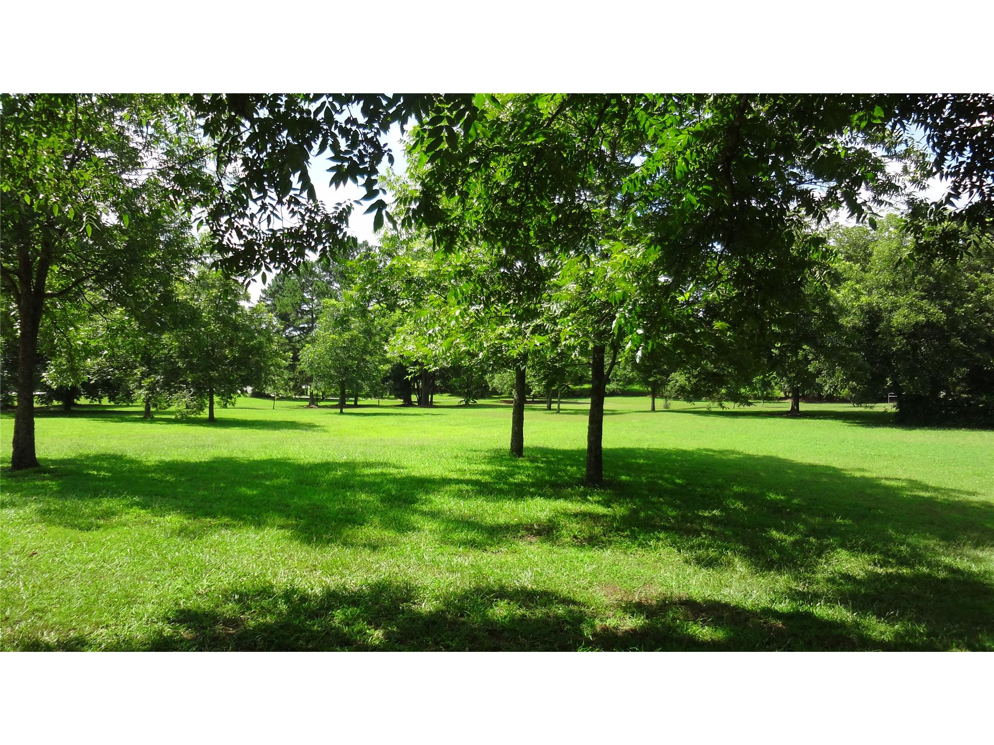 972 Bethlehem Rd, Winder, GA 30680 photo 3