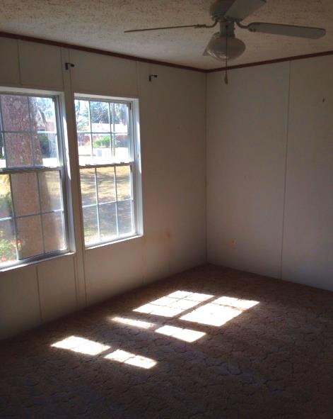 1203 Shell Point Rd, Townsend, GA 31331 photo 6
