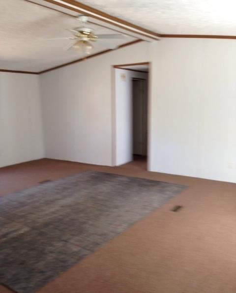 1203 Shell Point Rd, Townsend, GA 31331 photo 5