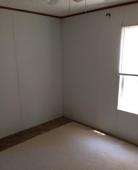 1203 Shell Point Rd, Townsend, GA 31331 photo 8