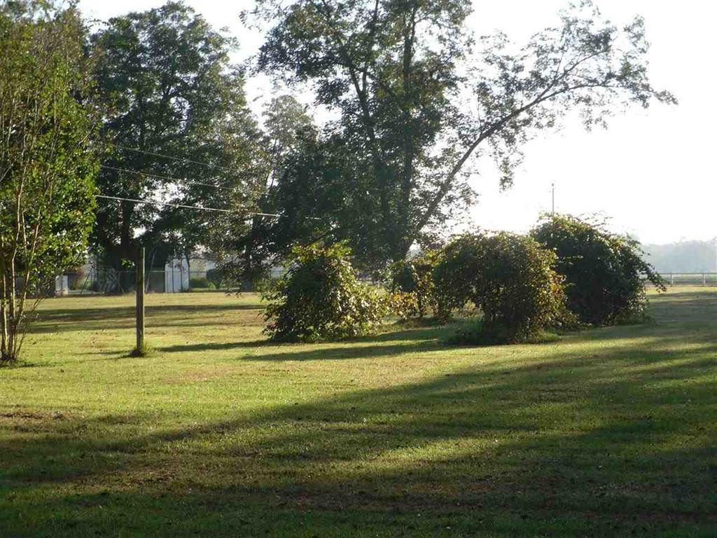 1802 Walker Rd, Byron, GA 31008 photo 23