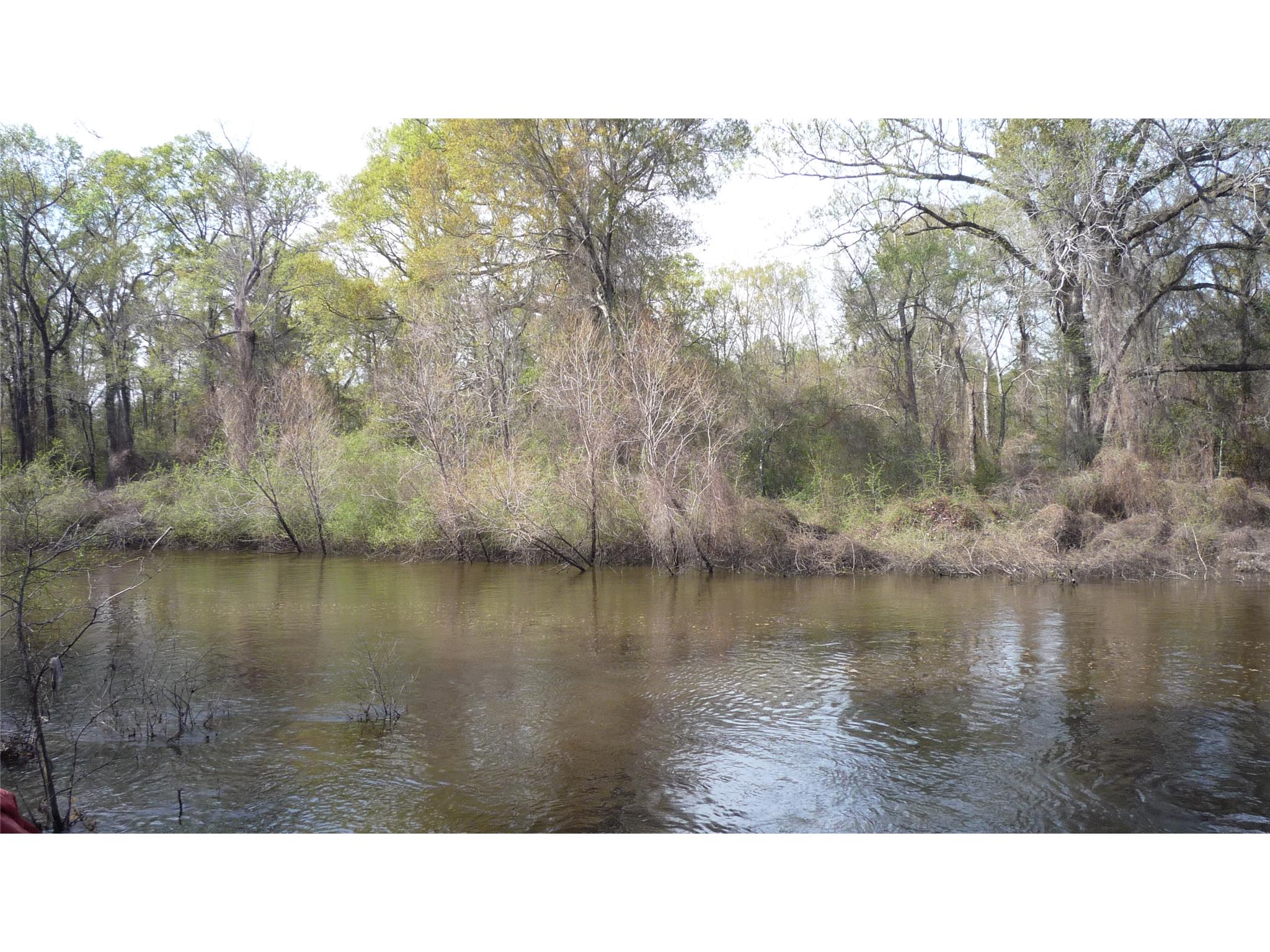 3370 Johnson Rd, Millen, GA 30442 photo 3