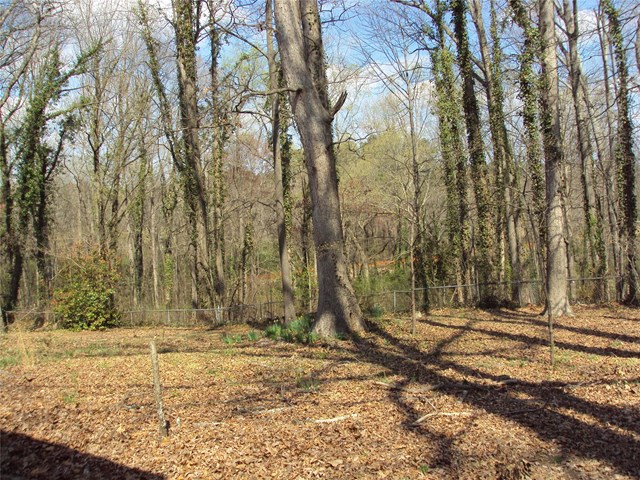 1352 John Robert Dr, Morrow, GA 30260 photo 6