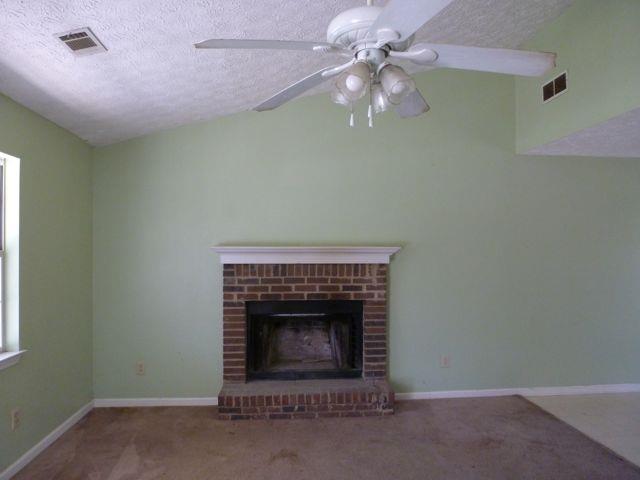 206 Lisa Ct, Hampton, GA 30228 photo 4