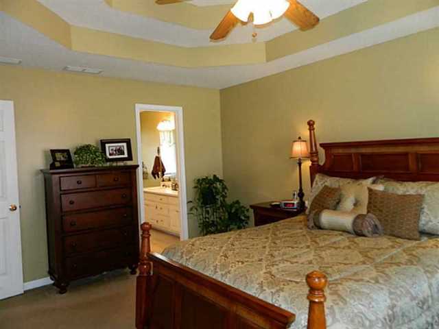 11187 Glynn Ridge Dr, Hampton, GA 30228 photo 12