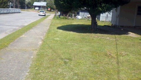 402 E 11th St, Alma, GA 31510 photo 8