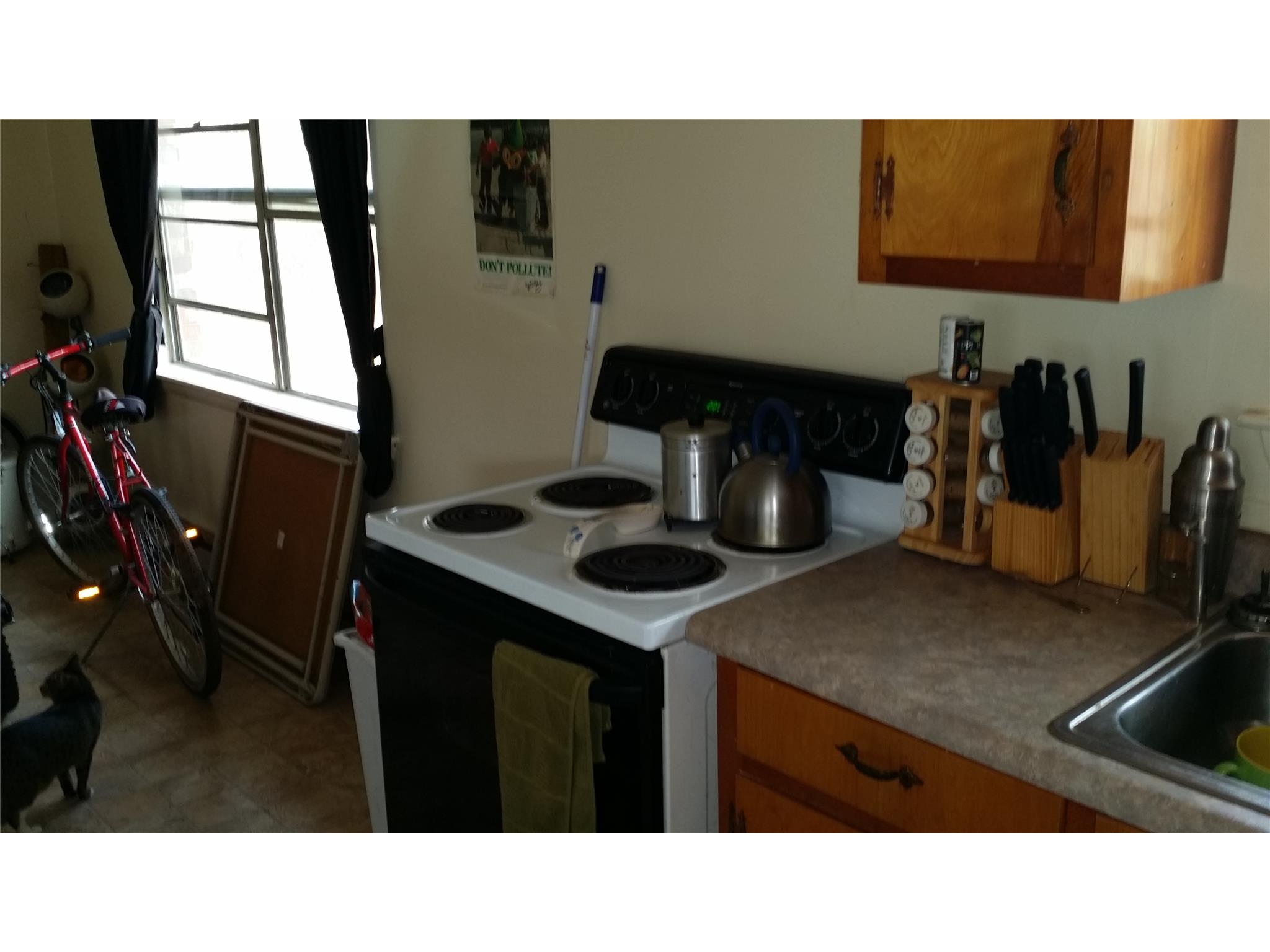 246 Myrl, Cornelia, GA 30531 photo 4