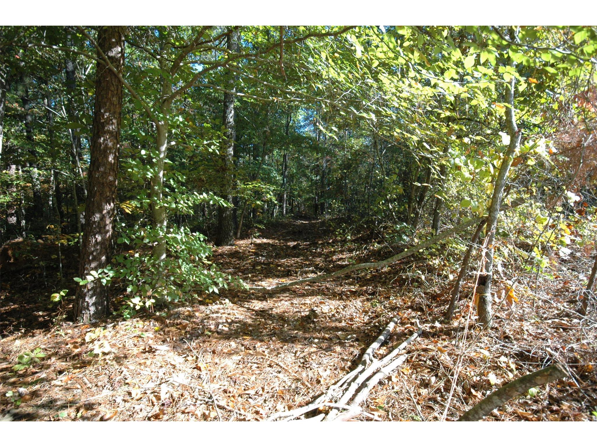 317 Harvey Fields Dr, Canton, GA 30114 photo 19