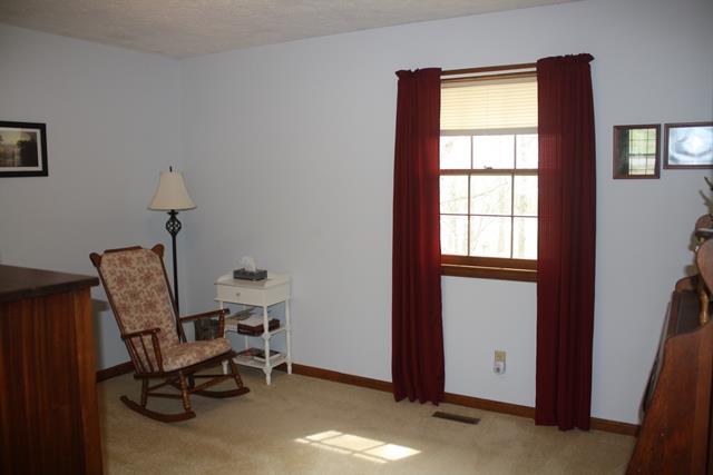 35 Green Valley Dr, Toccoa, GA 30577 photo 5
