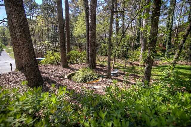 4959 Old Ivy Rd, Duluth, GA 30096 photo 22