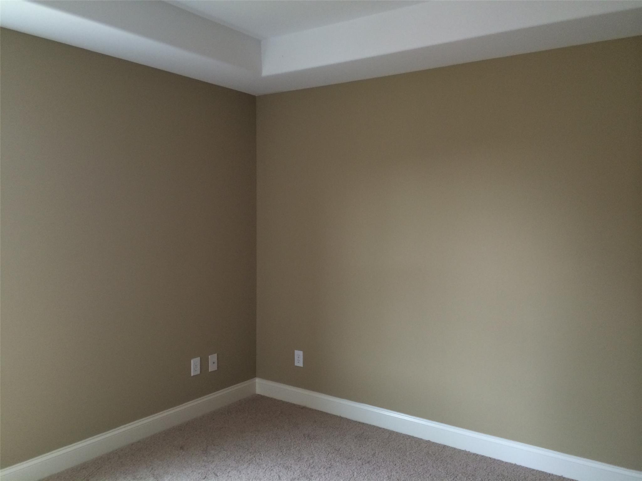 3109 Alhambra Cir, Hampton, GA 30228 photo 14