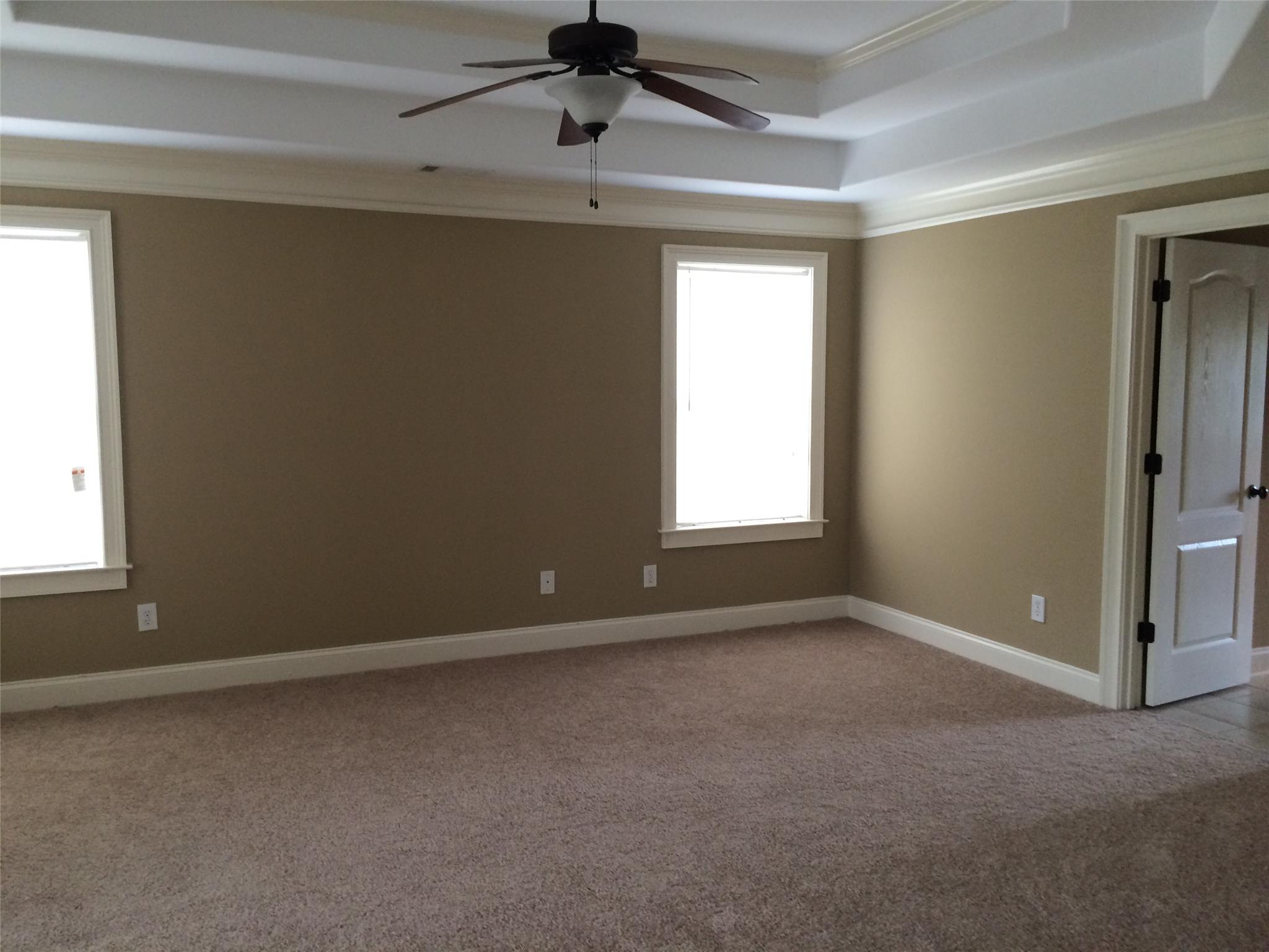 3109 Alhambra Cir, Hampton, GA 30228 photo 18