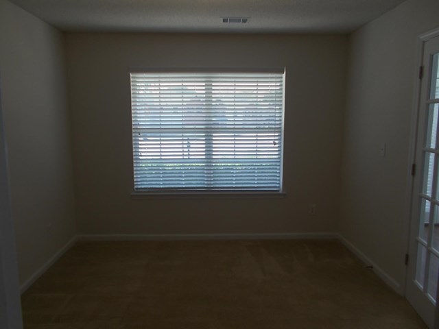 491 Vaughan Dr, Hampton, GA 30228 photo 14
