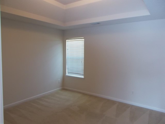 491 Vaughan Dr, Hampton, GA 30228 photo 15