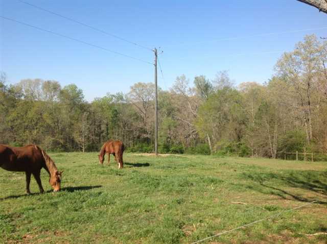 1435 Cheek Pulliam Rd, Royston, GA 30662 photo 8