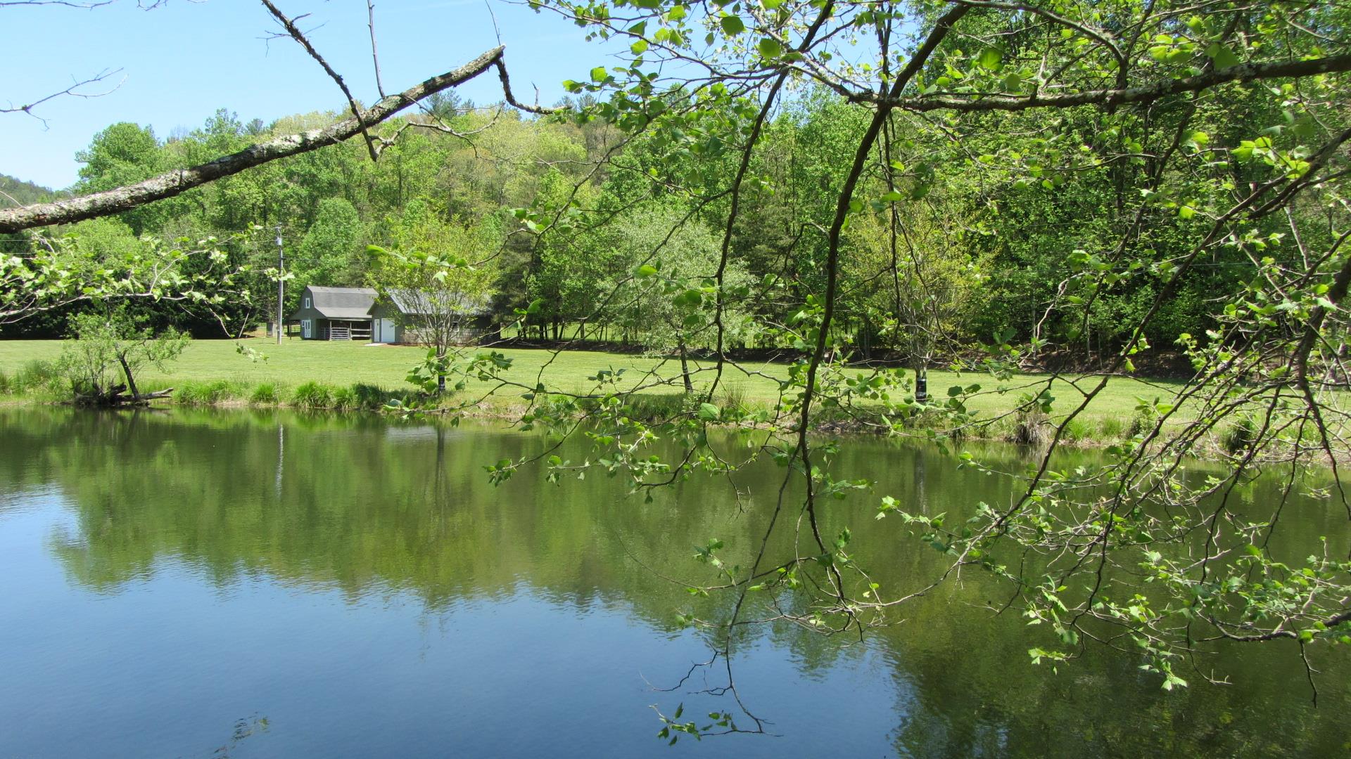 150 Watts Mill Rd, Clarkesville, GA 30523 photo 21