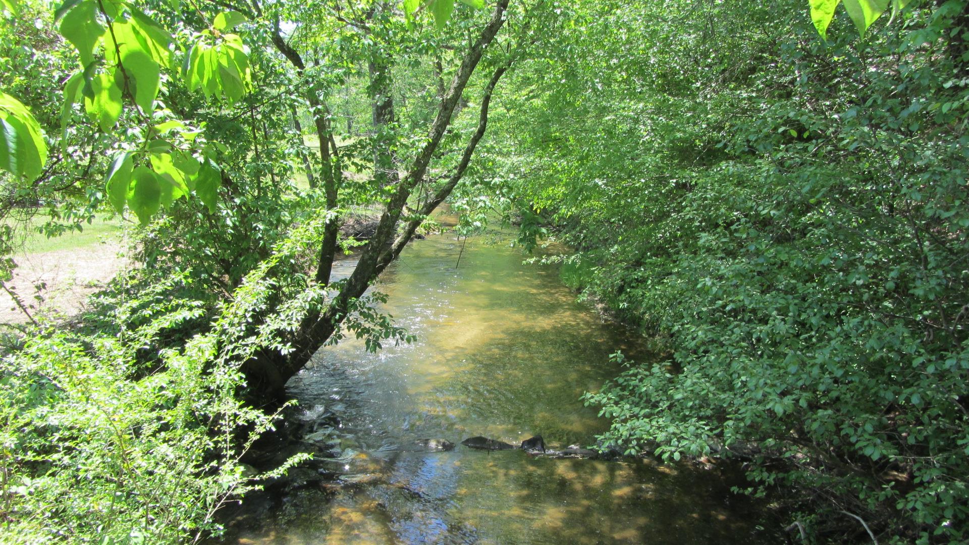 150 Watts Mill Rd, Clarkesville, GA 30523 photo 20