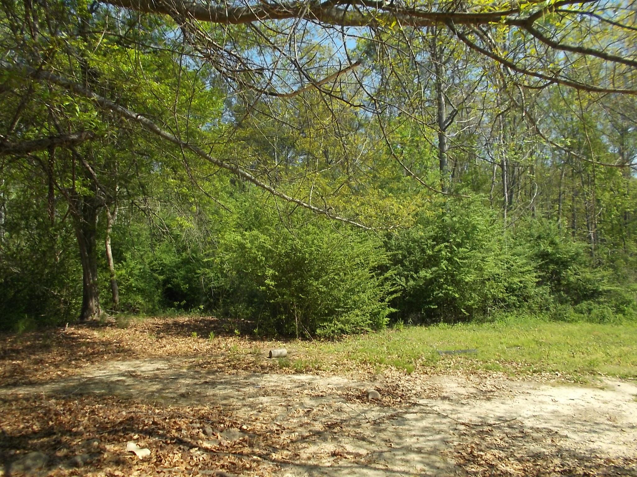 159 Halls Bridge Rd, Jackson, GA 30233 photo 15