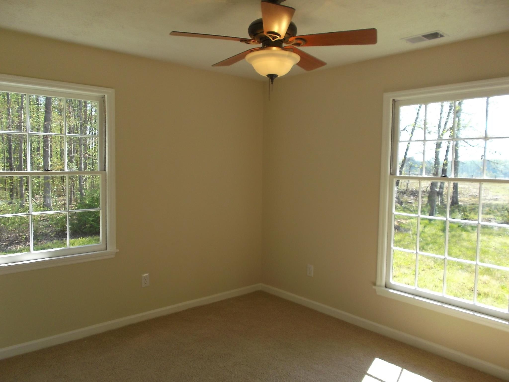 159 Halls Bridge Rd, Jackson, GA 30233 photo 10